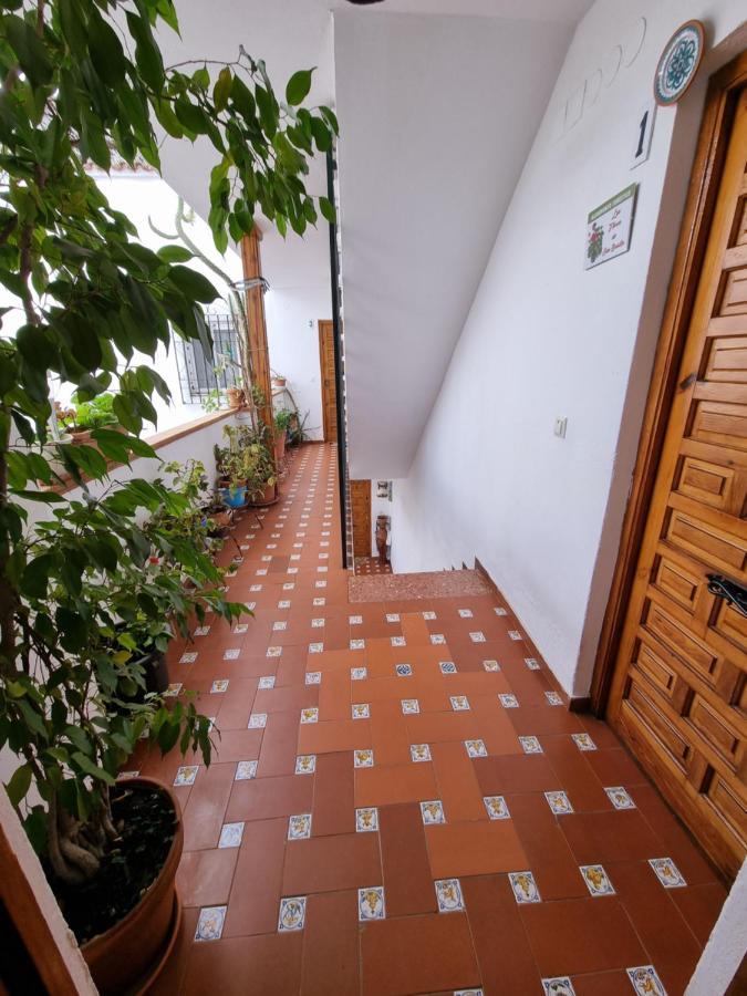 Ferienwohnung Apartamento Entre Patios San Basilio Córdoba Exterior foto