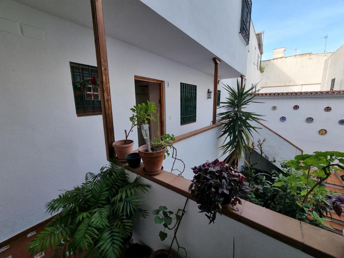 Ferienwohnung Apartamento Entre Patios San Basilio Córdoba Exterior foto