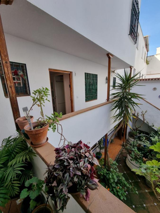 Ferienwohnung Apartamento Entre Patios San Basilio Córdoba Exterior foto